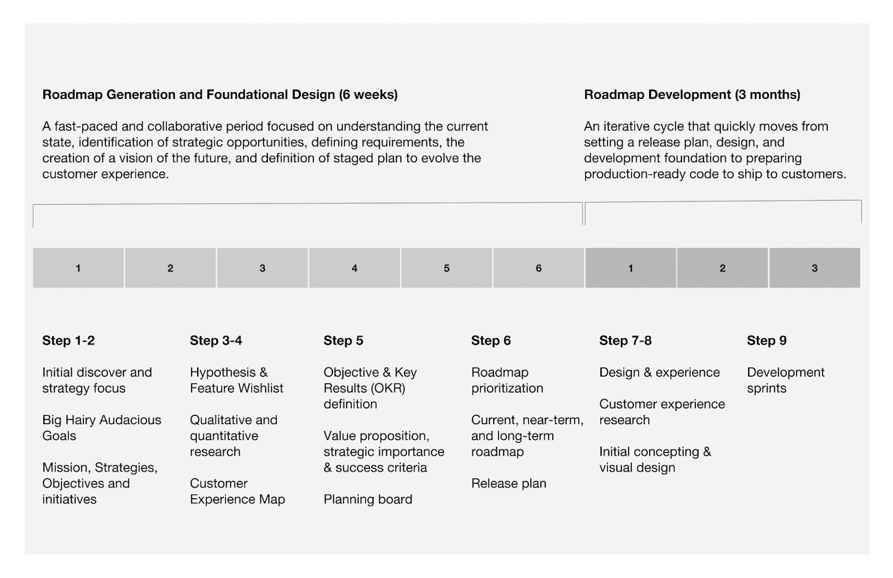 roadmapping process