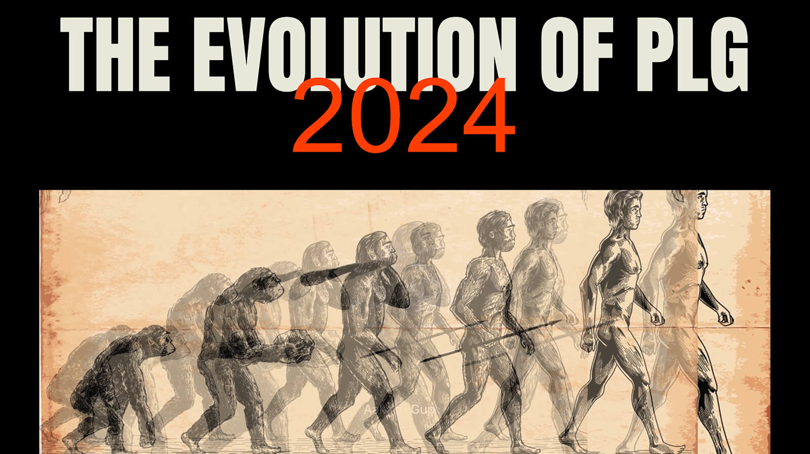 What the leading PLG companies are doing in 2024
