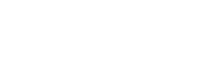 DudeSolutions logo