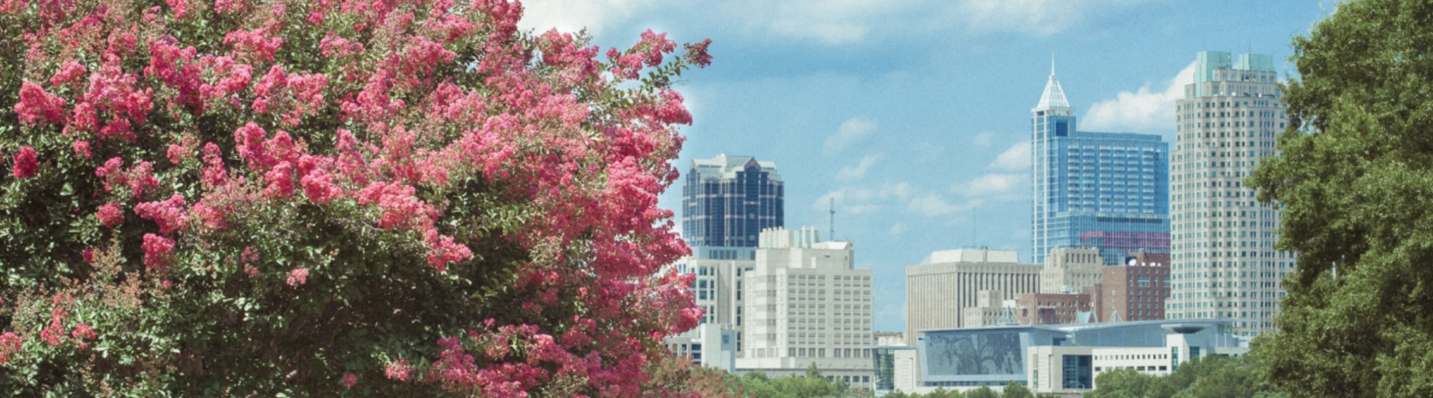 Raleigh, NC skyline