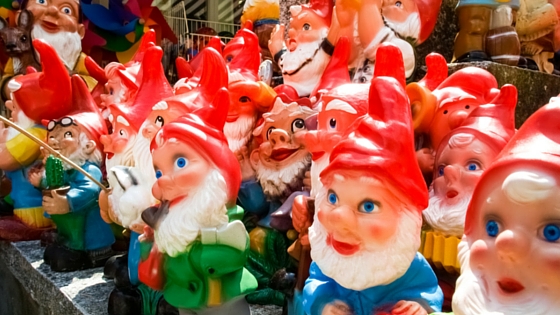 hundred lawn gnomes